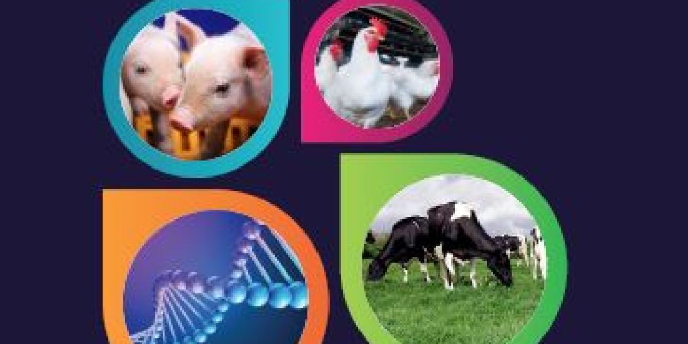 Proceedings of the Precision Livestock Farming &#8217;19