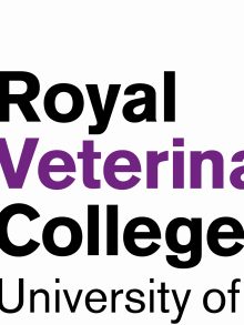 OPEN POST DOC POSITION